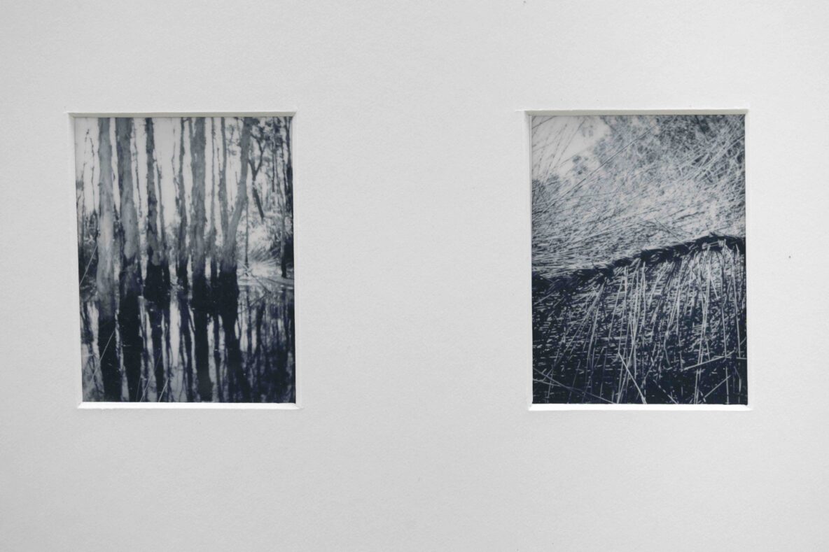 Two rectangular windows in a pale wall: left window shows a black-and-white forest scene, right window shows a dense, scribble-like pattern.