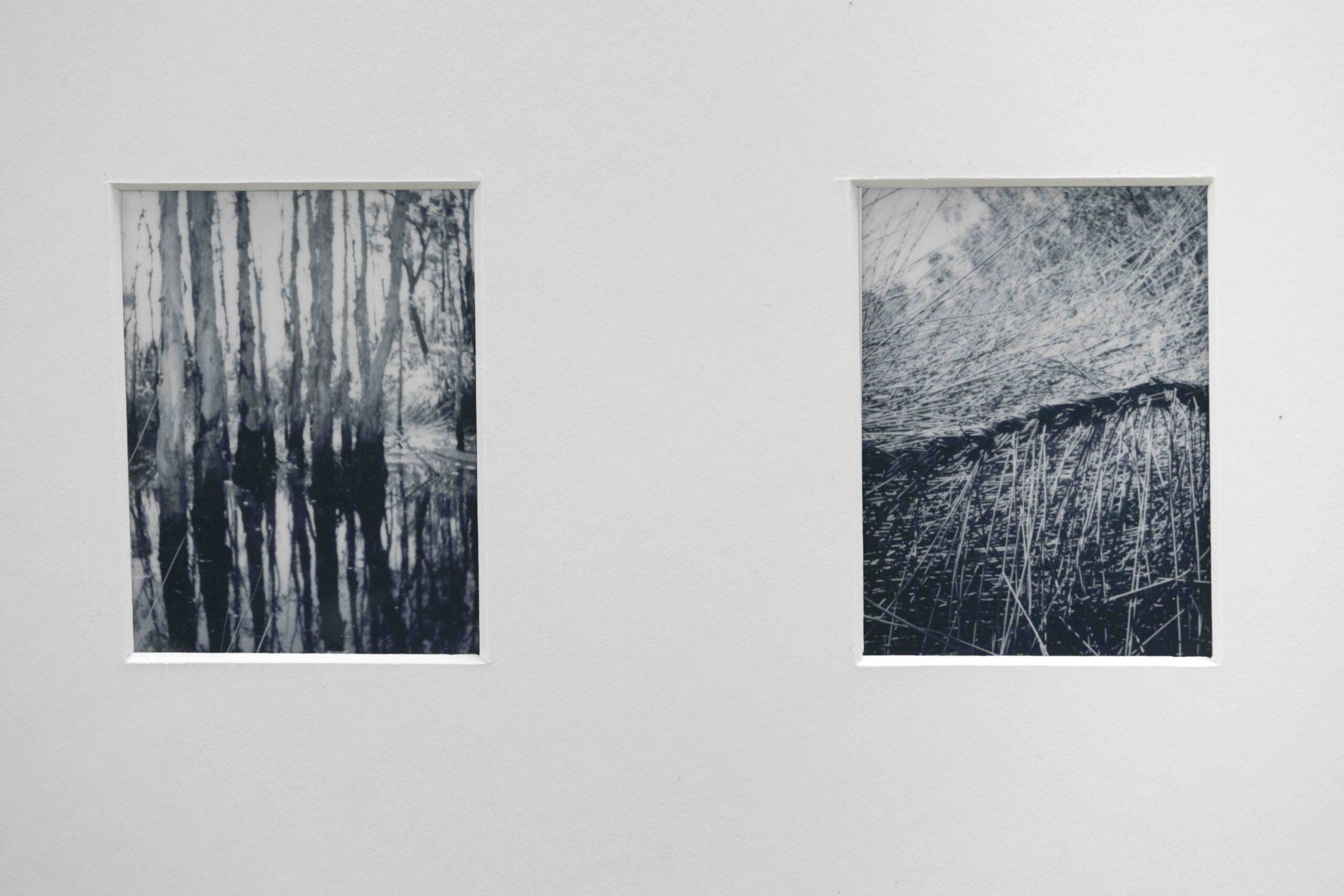 Two rectangular windows in a pale wall: left window shows a black-and-white forest scene, right window shows a dense, scribble-like pattern.