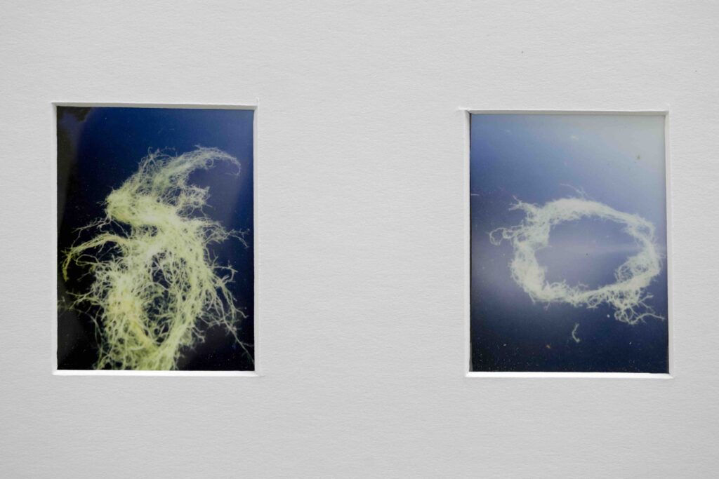 White wall with two vertical rectangular windows; left window shows pale tangled fibrous material, right window reveals a blue sky with a circular cloud ring.